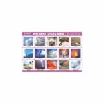 M-Stick Educational Chart 203 Natural Disasters-1