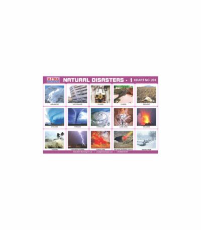 M-Stick Educational Chart 203 Natural Disasters-1
