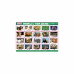 M-Stick Educational Chart 212 Animals & Their Sounds