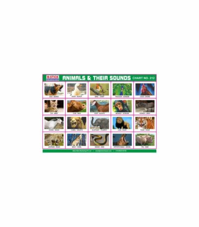 M-Stick Educational Chart 212 Animals & Their Sounds