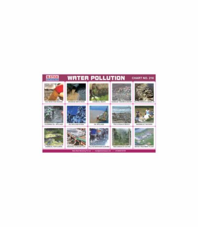 M-Stick Educational Chart 216 Water Pollution