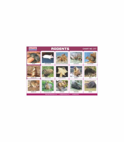 M-Stick Educational Chart 217 Rodents