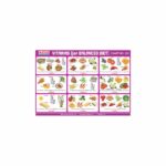 M-Stick Educational Chart 222 Vitamins for Balanced Diet
