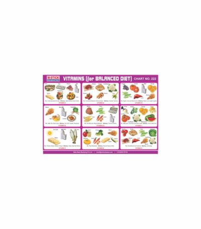 M-Stick Educational Chart 222 Vitamins for Balanced Diet