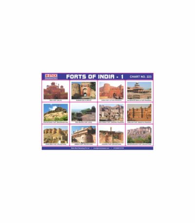 M-Stick Educational Chart 223 Forts of India-1
