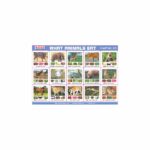 M-Stick Educational Chart 225 What Animals Eat