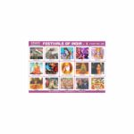 M-Stick Educational Chart 228 Festivals of India-1