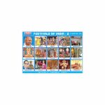 M-Stick Educational Chart 229 Festivals of India-2