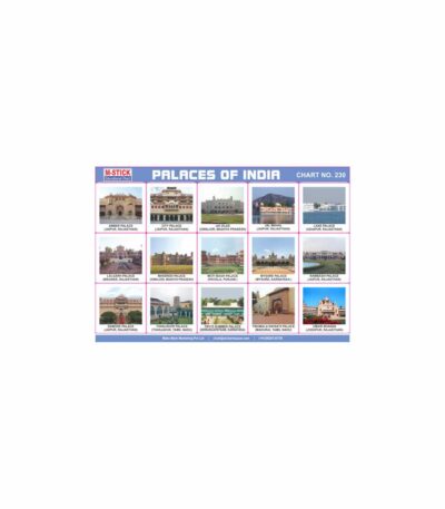 M-Stick Educational Chart 230 Palaces of India