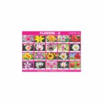 M-Stick Educational Chart 234 Flowers-2