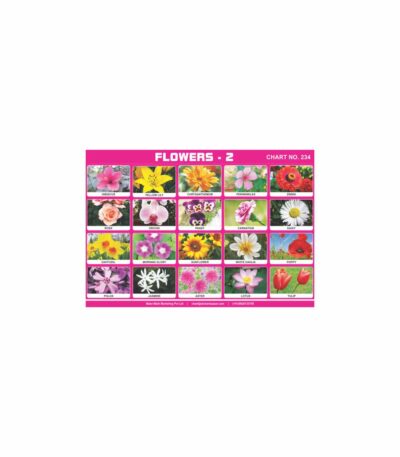 M-Stick Educational Chart 234 Flowers-2
