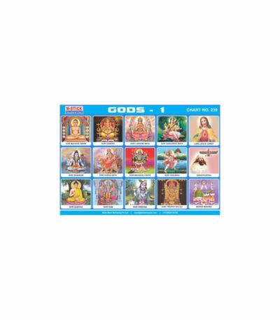 M-Stick Educational Chart 239 Gods-1