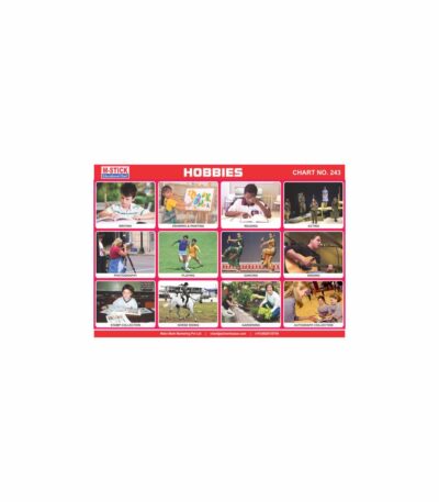 M-Stick Educational Chart 243 Hobbies