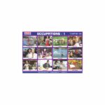 M-Stick Educational Chart 246 Occupations-1