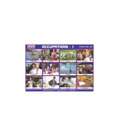 M-Stick Educational Chart 246 Occupations-1