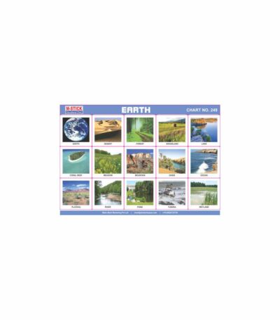 M-Stick Educational Chart 248 Earth