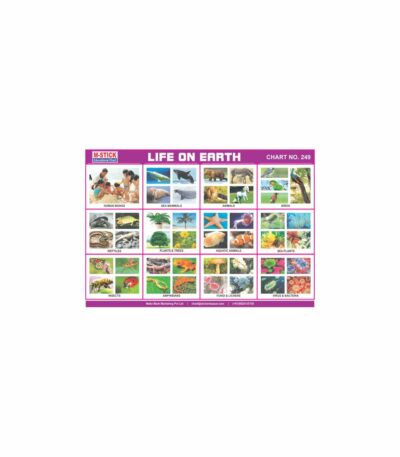 M-Stick Educational Chart 249 Life on Earth