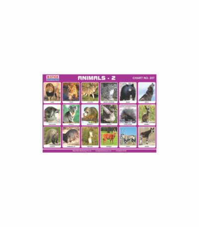 M-Stick Educational Chart 257 Animals-2