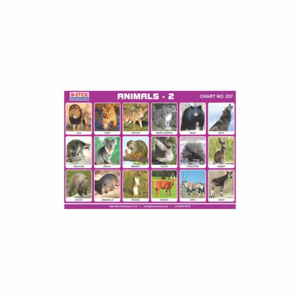 M-Stick Educational Chart 257 Animals-2