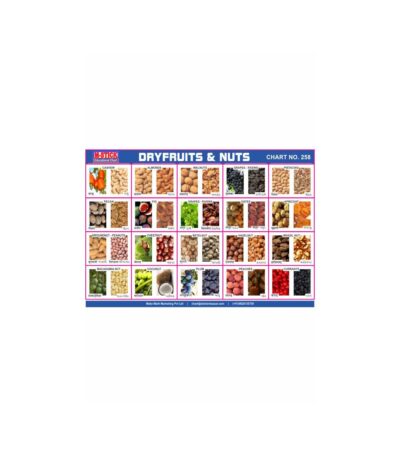 M-Stick Educational Chart 258 Dryfruits & Nuts