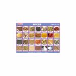 M-Stick Educational Chart 259 Spices