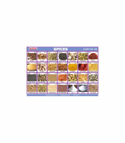 M-Stick Educational Chart 259 Spices