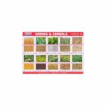 M-Stick Educational Chart 260 Grains & Cereals
