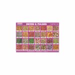 M-Stick Educational Chart 261 Beans & Pulses