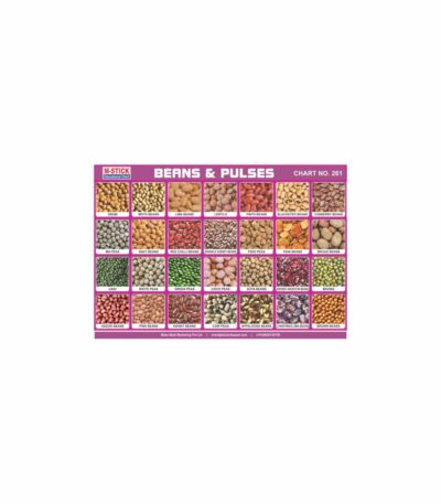 M-Stick Educational Chart 261 Beans & Pulses