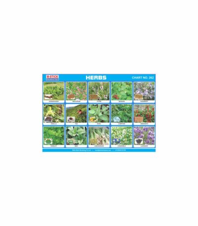 M-Stick Educational Chart 262 Herbs