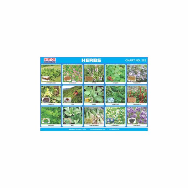 M-Stick Educational Chart 262 Herbs