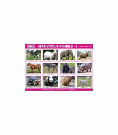 M-Stick Educational Chart 281 Herbivorous Animals-1