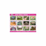 M-Stick Educational Chart 282 Herbivorous Animals-2