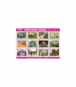 M-Stick Educational Chart 282 Herbivorous Animals-2