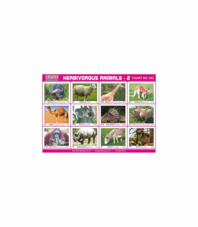 M-Stick Educational Chart 282 Herbivorous Animals-2