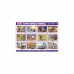 M-Stick Educational Chart 283 Carnivorous Animals-1