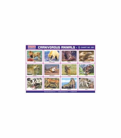 M-Stick Educational Chart 283 Carnivorous Animals-1