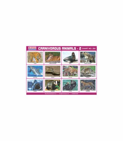 M-Stick Educational Chart 284 Carnivorous Animals-2