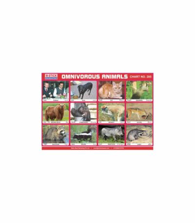 M-Stick Educational Chart 285 Omnivorous Animals