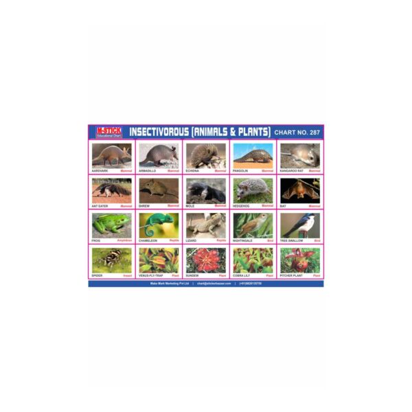 M-Stick Educational Chart 287 Insectivorous ( Animals & Plants )