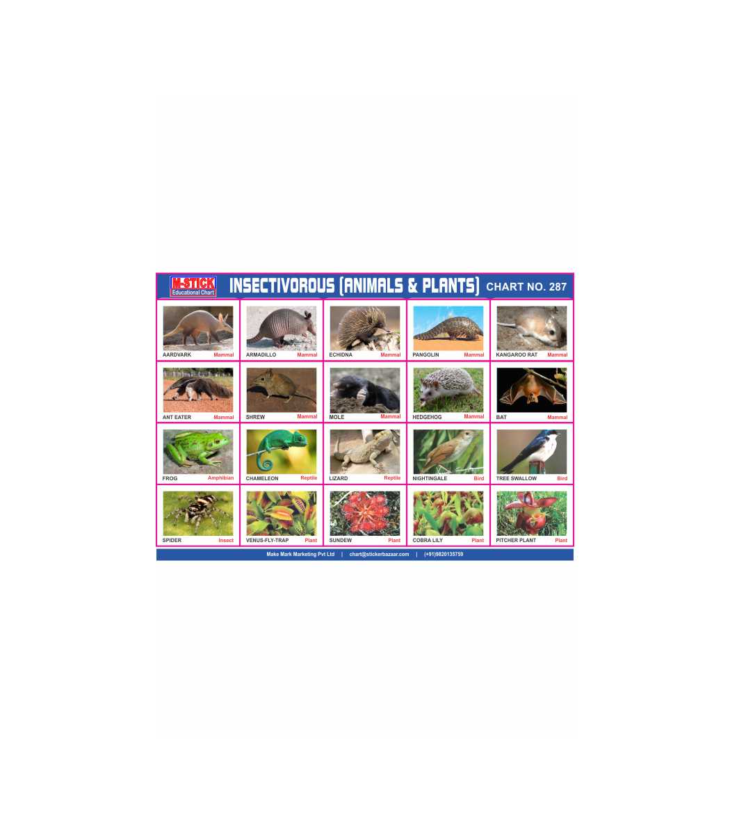 M-Stick |Educational Chart |287 |Insectivorous ( Animals & Plants) |10  Sheets| - Sticker Bazaar