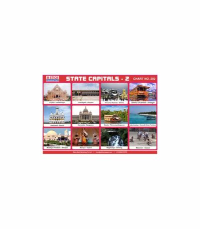 M-Stick Educational Chart 292 State Capitals-2