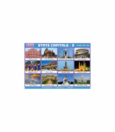 M-Stick Educational Chart 200 State Capitals-3