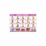 M-Stick Educational Chart 297 Mughal Period