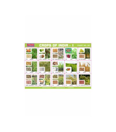 M-Stick Educational Chart 307 Crops Of India-1