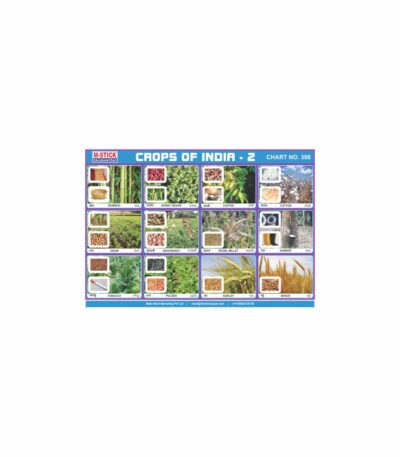 M-Stick Educational Chart 308 Crops Of India-2