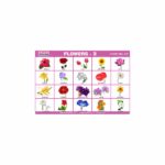 M-Stick Educational Chart 310 Flowers-3