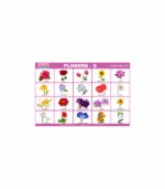 M-Stick Educational Chart 310 Flowers-3