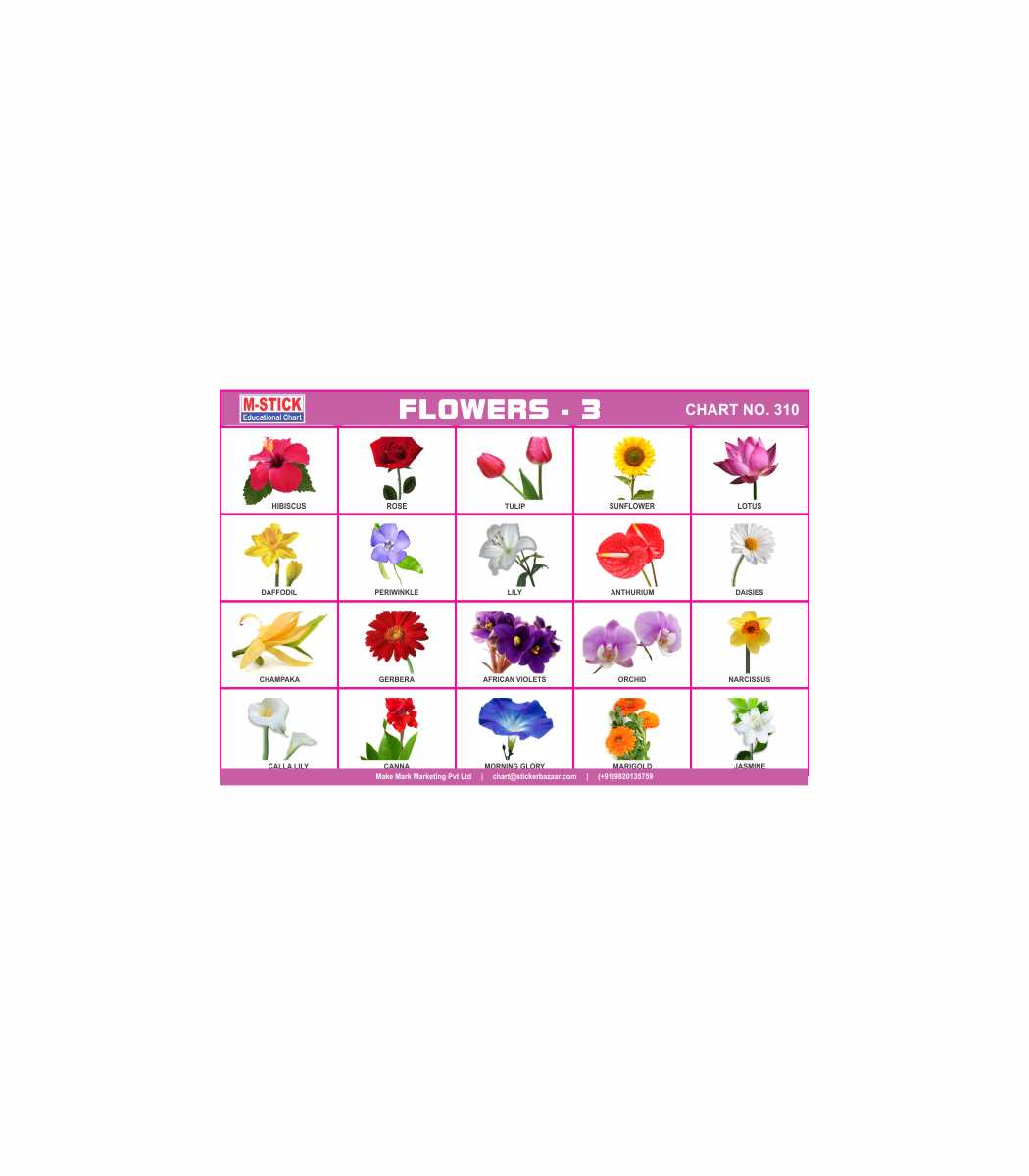 M-Stick Educational Chart 310 Flowers-3