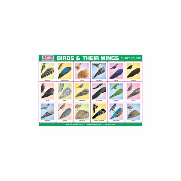 M-Stick Educational Chart 319 Birds & Their Wings